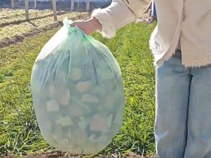 compostable yard waste bags