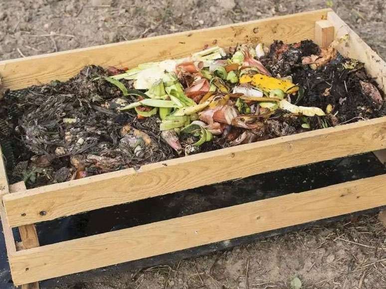 biodegradable o compostable