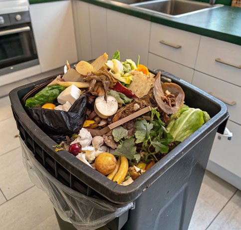 food waste