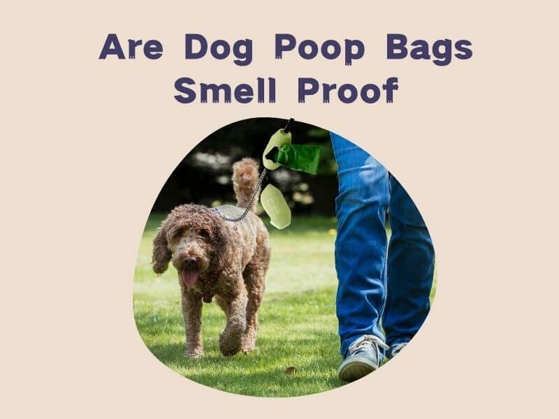 Are Dog Poop Bags Smell Proof