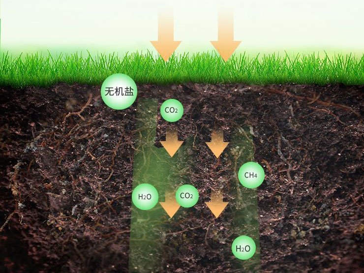 biodegradation process