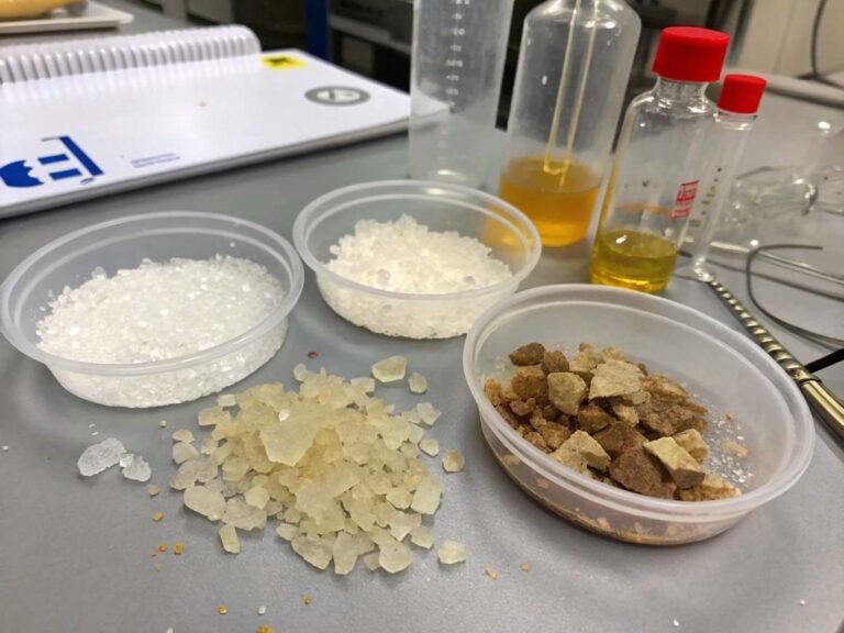 degradation process of polylactic acid